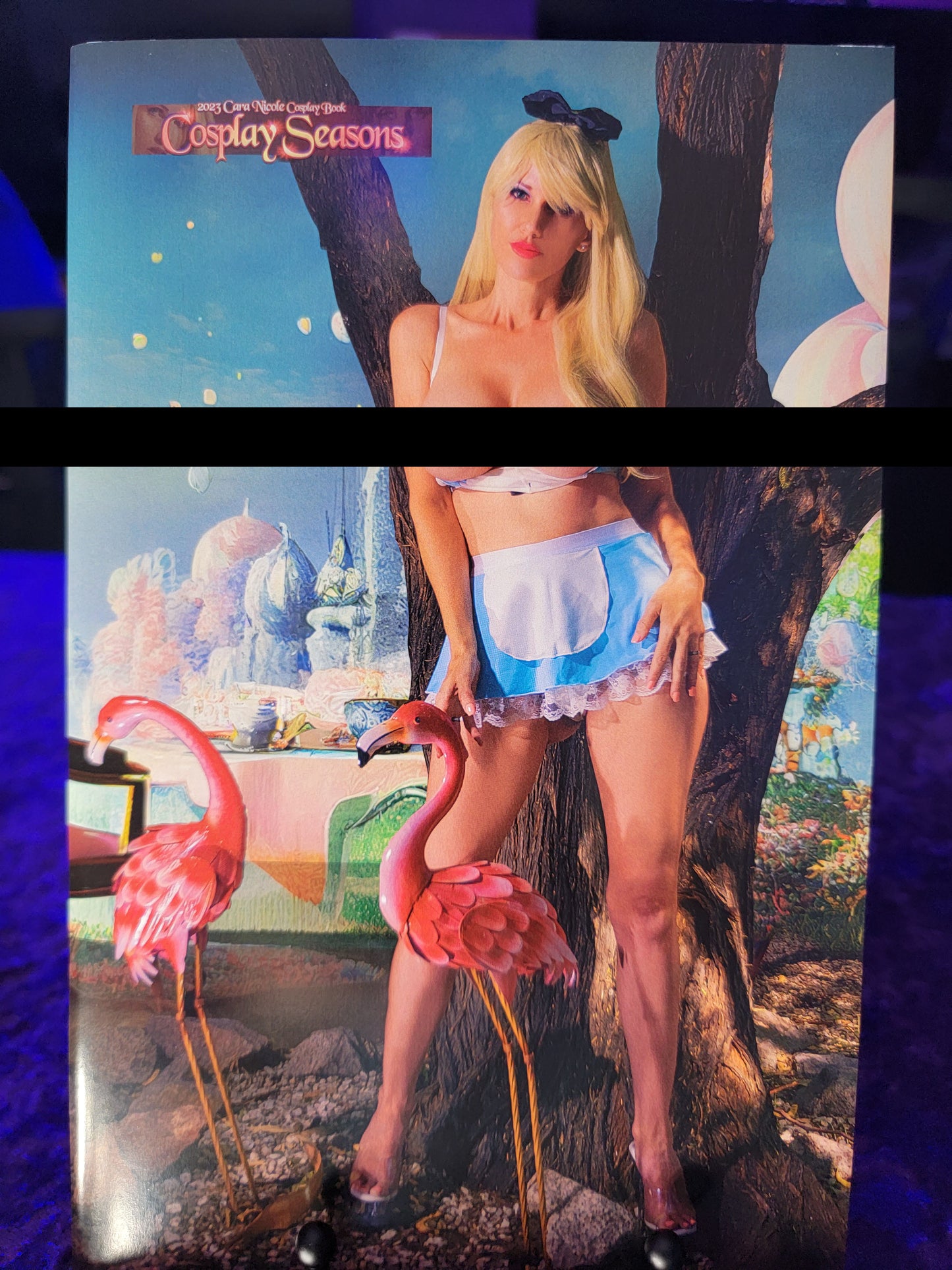 Cosplay Seasons - Alice