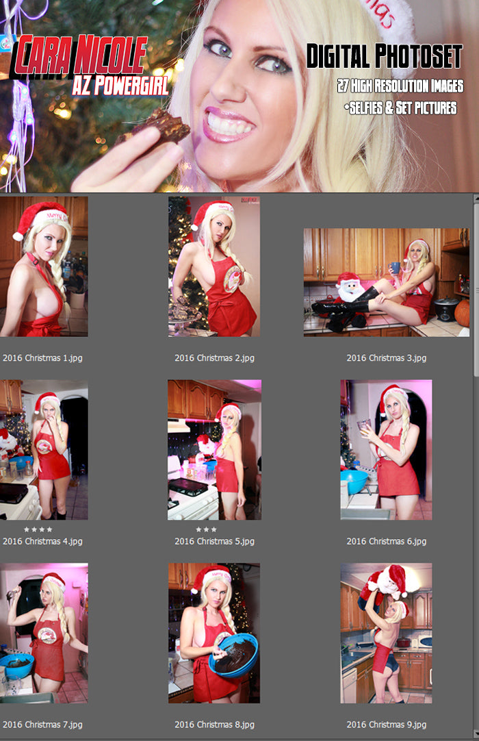 Christmas Brownies 2017 Digital Photoset